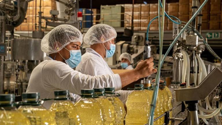 Nueva política de sostenibilidad marca el futuro de grupo empresarial en Ecuador