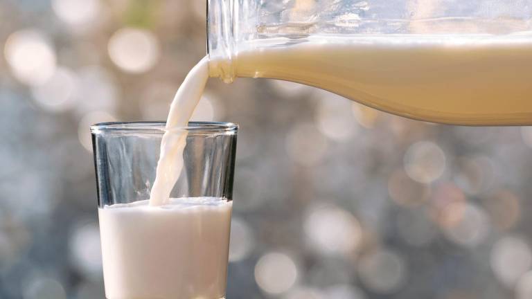 Con innovación se promueve el consumo de lácteos ​​​​​