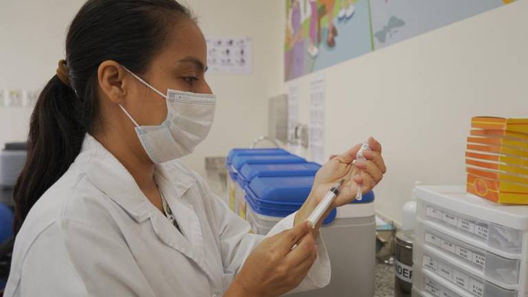 Vacunación contra la fiebre amarilla en Ecuador: estos son los puntos para acceder a la inyección por provincia