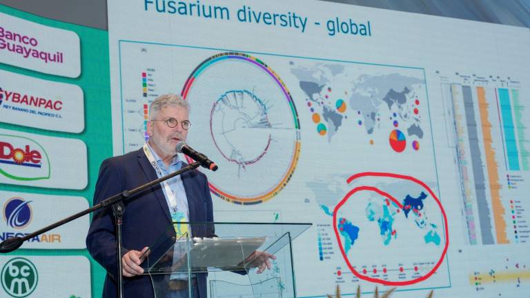 Banana Time Guayaquil 2025 abre sus puertas para proyectar el futuro del sector bananero