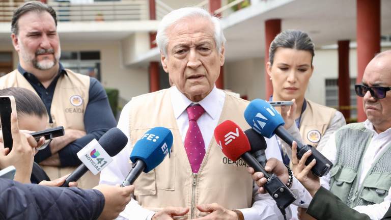 Misión de OEA pide al CNE aumentar control a gasto de propaganda electoral en redes sociales