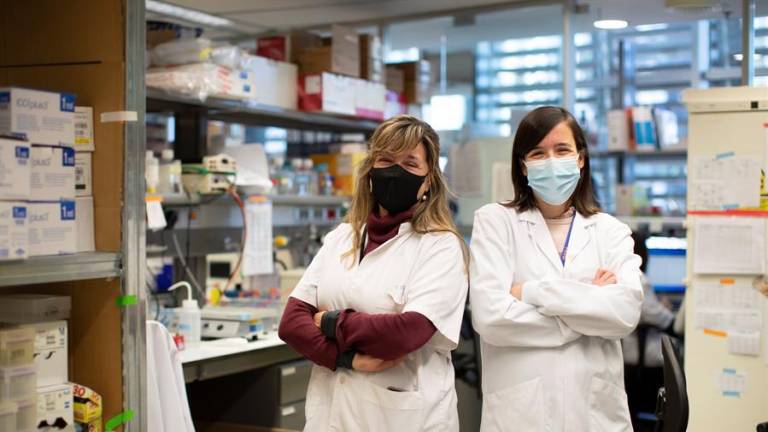 Investigadores identifican una señal biológica que haría posible la detección temprana del cáncer de páncreas