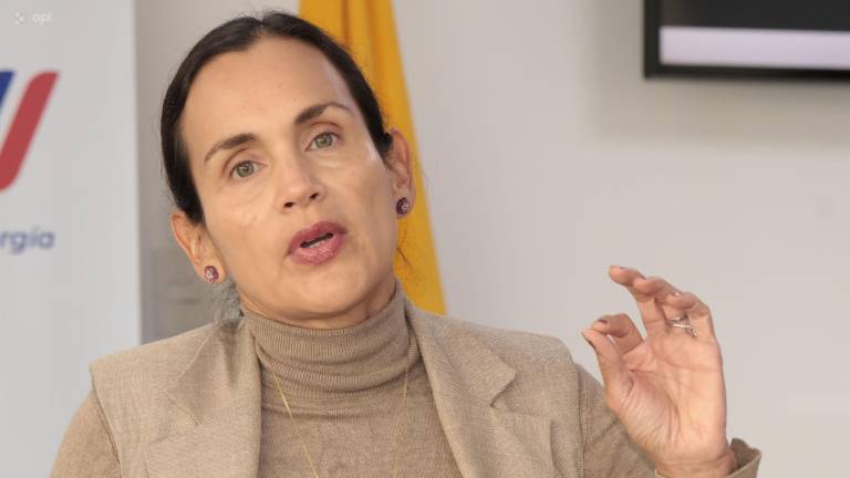 La ex ministra de Ambiente y Energía, Inés Manzano.