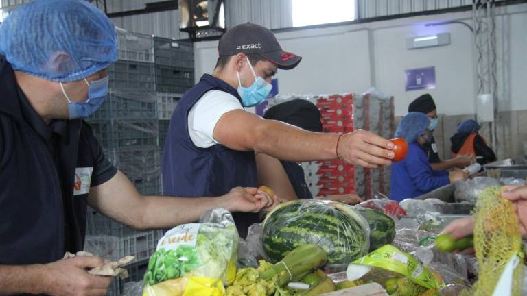 600 millones de personas enfrentarán hambre en 2030: así Ecuador busca combatirlo​​​​​