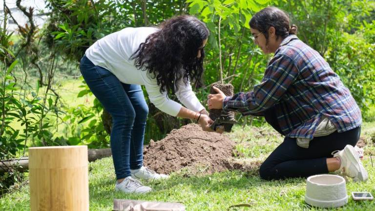 Camposantos y otras empresas exequiales plantean nuevos servicios sostenibles