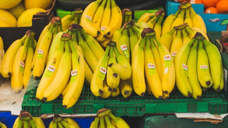 Ecuador enviará una misión a Rusia con el objetivo de levantar suspensiones a exportadoras de banano