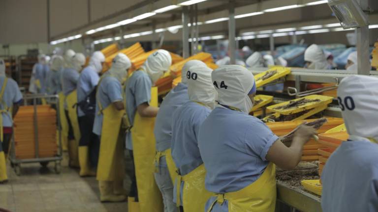 NIRSA cumple 65 años de producción alimentaria