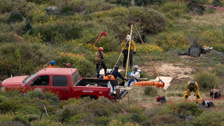 Este sería el motivo por el que tres surfistas de Australia y EE.UU. fueron asesinados brutalmente en México