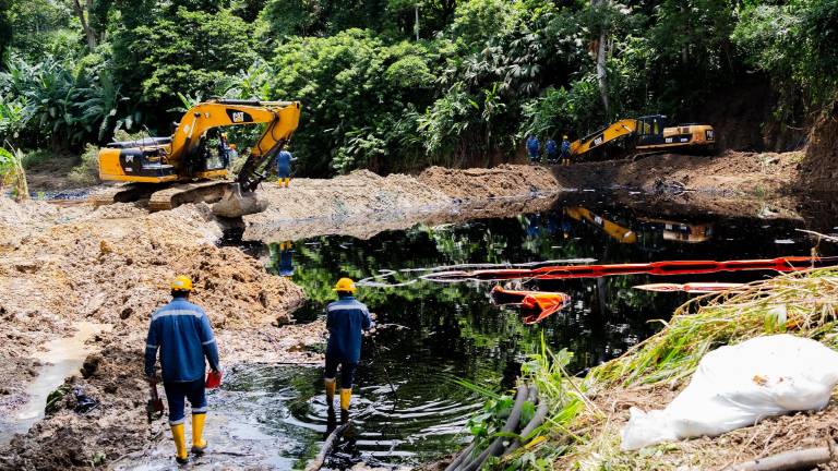 Emergencia ambiental en Esmeraldas: 'Es un derrame de petróleo sin precedentes, nunca se había visto algo similar'