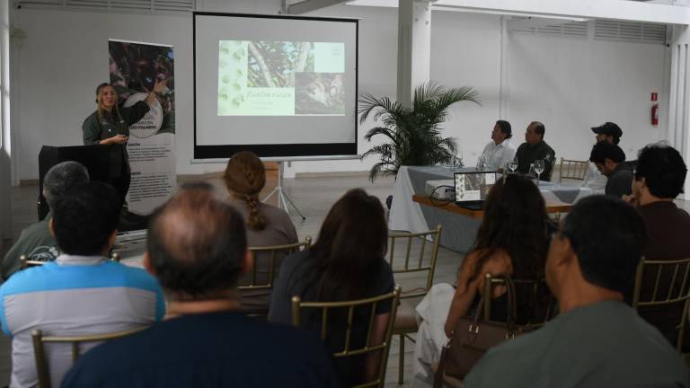 Fundación Oso Palmero nace para investigar y conservar la fauna silvestre de la Costa ecuatoriana