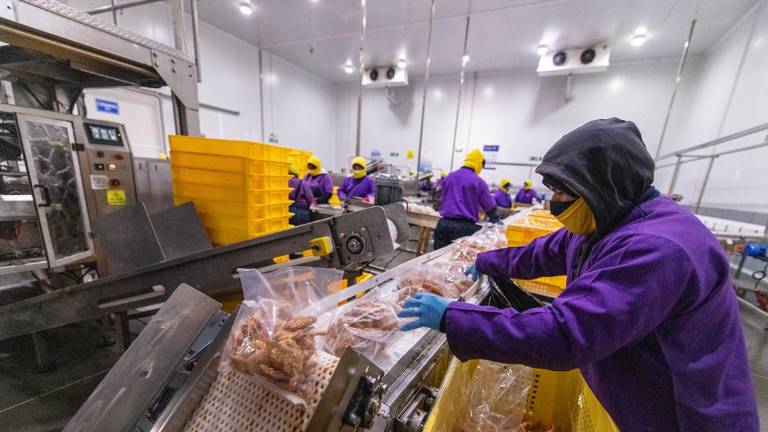 El portafolio de valor agregado de Nirsa incluye una línea de camarones apanados con ralladura de coco o apanadura panko.