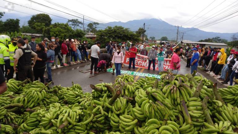 Bananeros protestan y bloquean carretera en Guayas con cientos de racimos
