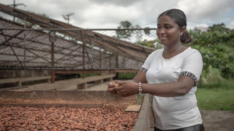 El bioplástico beneficia a productoras de cacao en Esmeraldas
