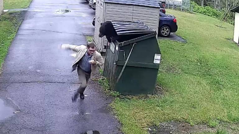 VIDEO: Director de escuela corre aterrado tras encontrar un oso negro dentro de un contenedor de basura