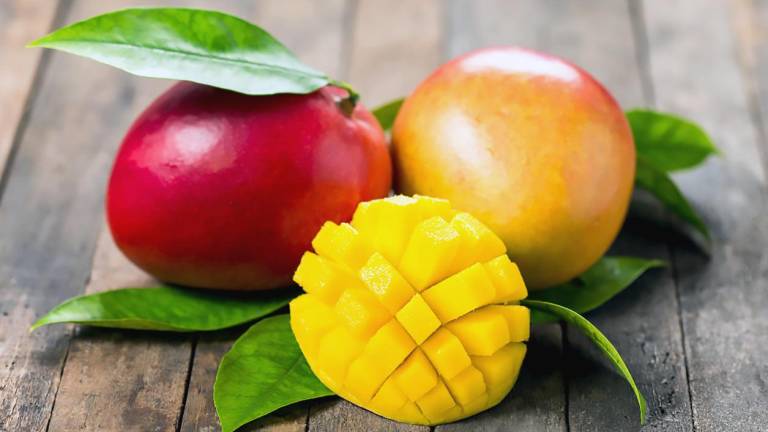 Ecuador exportó más de 15 millones de cajas de mango esta temporada
