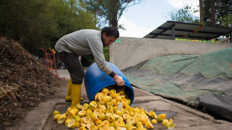 Iniciativa convierte desechos orgánicos en compost para pequeños agricultores