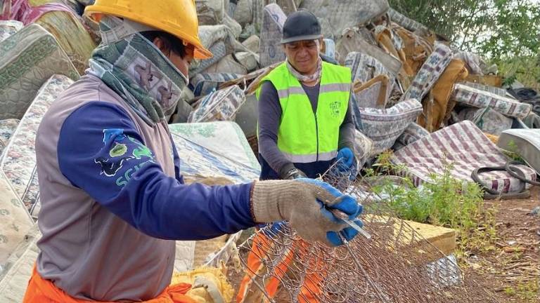 Más de 1.580 colchones han sido recolectado y co-procesados en el marco del proyecto.