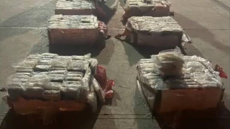 Policía decomisa 959 kilos de cocaína ocultos en uno de los puertos marítimos de Guayaquil