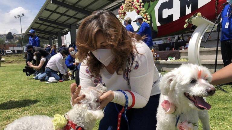 ¿Quién es Brith Vaca, la nueva vicealcaldesa de Quito?