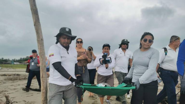 La tortuga Emma fue liberada en una de las playas de General Villamil, luego de 50 días de rehabitación de su estudo de salud.