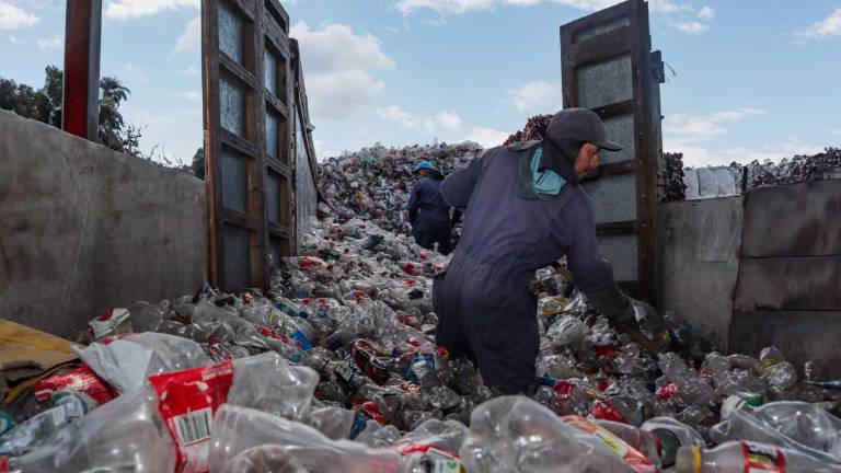 Bajo el sello de Origin, Reciclapet procesa alrededor de 1.000 toneladas mensuales de PET reciclado.