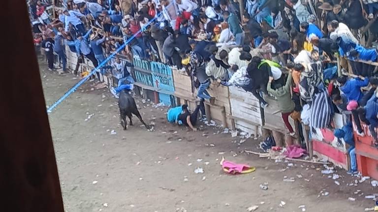 Corridas de toros en Píllaro: un hombre murió tras saltar al ruedo y recibir un mortal golpe