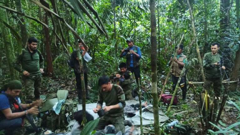 Estaban solos, ellos mismos lo lograron: Encuentran vivos a los cuatro niños que se perdieron en la Amazonía colombiana hace 40 días