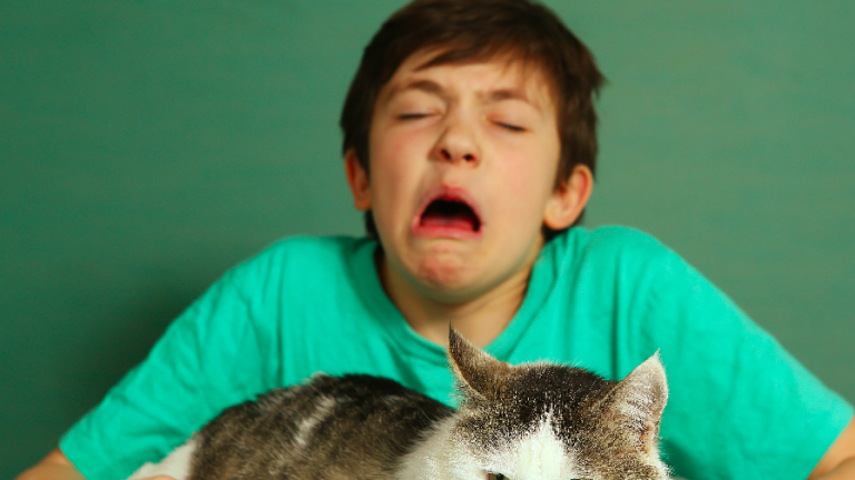 Las alergias hacia los gatos radican en un tipo de alérgeno llamado Fel d1.