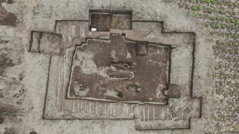 Restos arqueológicos incas fueron encontrados en Cotopaxi