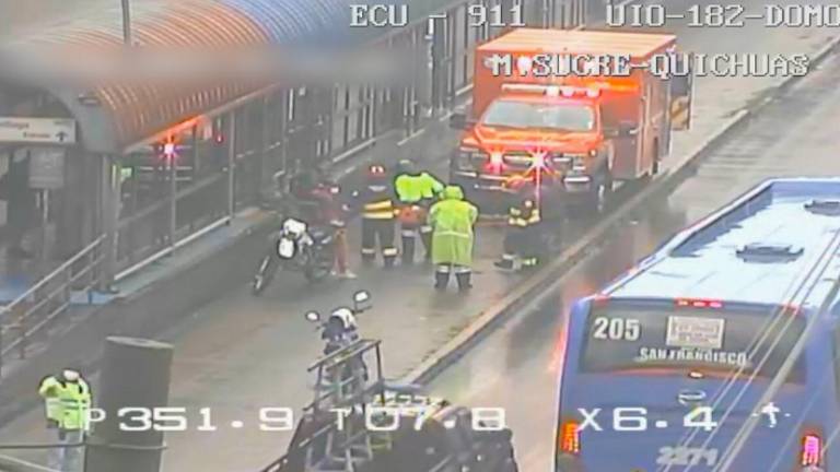 ECU 9 11 registra 1.396 atropellos en Pichincha, Napo y Orellana: accidentes son captados por cámaras