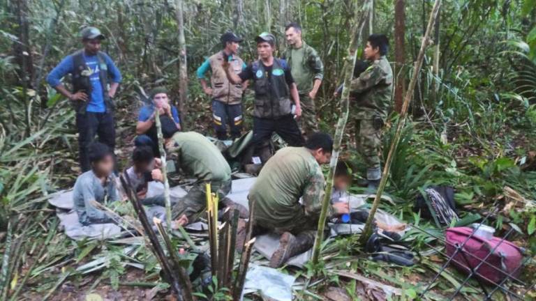 Niños colombianos recuerdan toda su odisea tras perderse en la selva