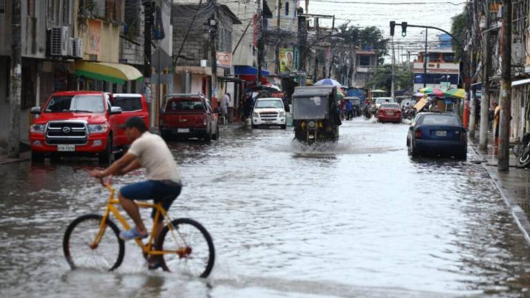 Ecuador preocupado por casos de leptospirosis en época de lluvias