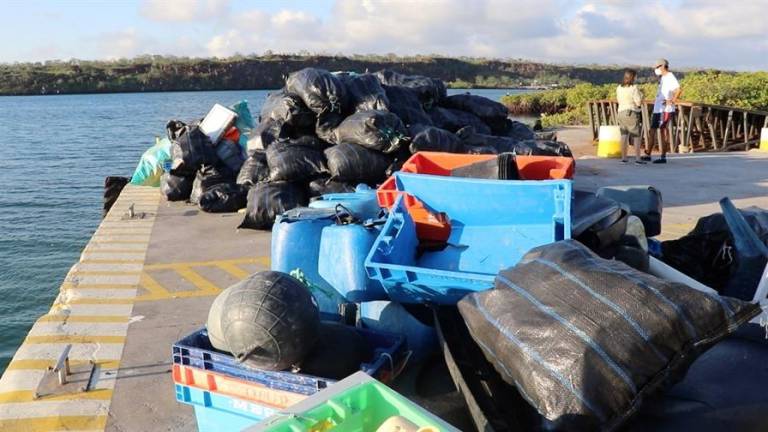 Recolectan 2,1 toneladas de basura en proceso de limpieza en Galápagos