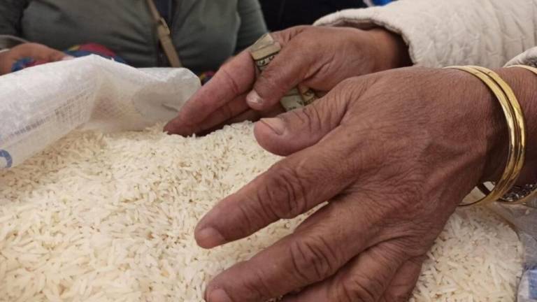 Glosas por más de $ 5 millones en Unidad Nacional de Almacenamiento por contratos de compraventa de arroz