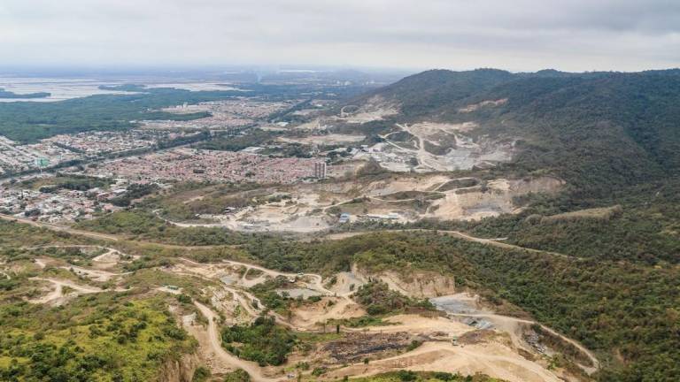 Cerro Blanco, la isla verde de Guayaquil acechada por la deforestación