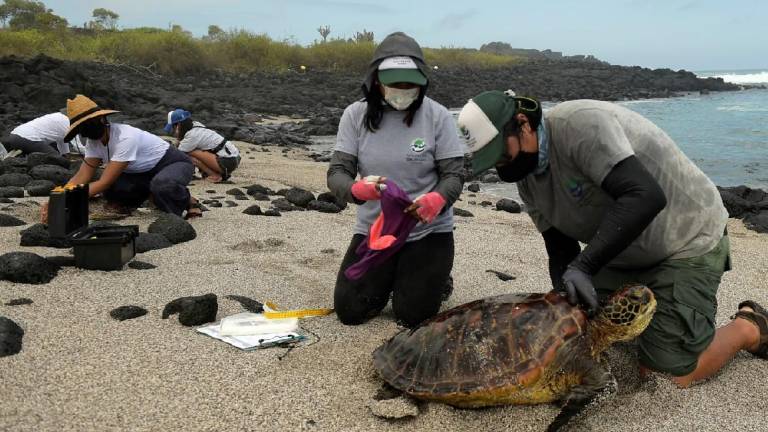 Donan 80.000 dólares en equipos a Galápagos para actividades de control y vigilancia