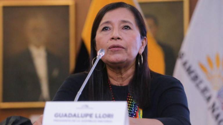Un voto libró a Guadalupe LLori de que se cree comisión ad hoc que la evalúe