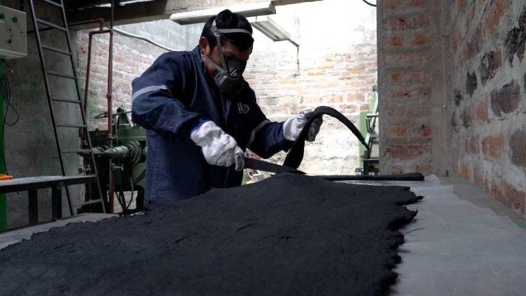 Economía circular: Negocios y agroindustrias transforman residuos en nuevos productos