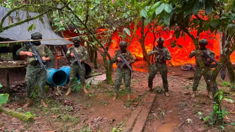 Ejército destruye más de 60.000 plantas de coca en un complejo clandestino en Sucumbíos