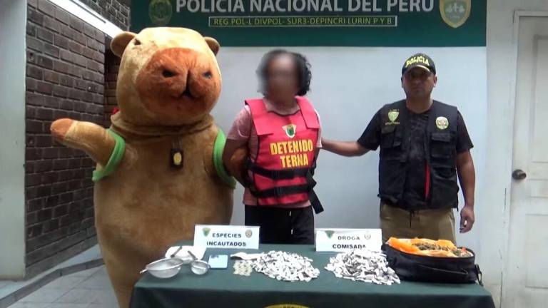 Policía disfrazado de capibara engaña y detiene a un sospechoso por tráfico de drogas, en Perú