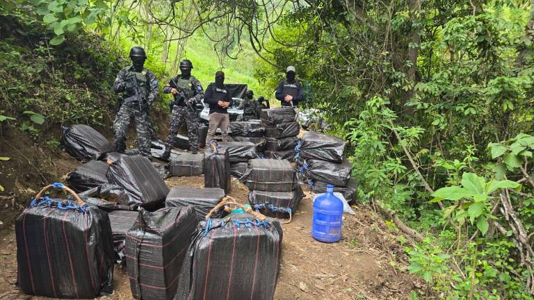 Hallan cerca de dos toneladas de cocaína en Manabí: la droga iba a salir de Ecuador por mar