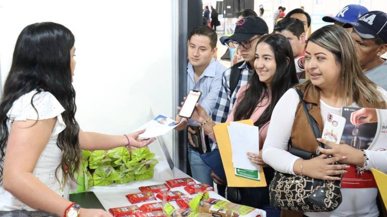 Feria laboral del Municipio de Quito ofrece más de 2.000 vacantes laborales: así puedes participar