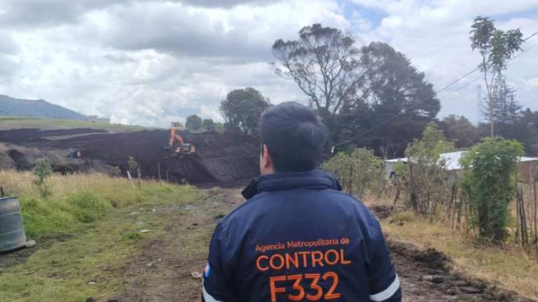 Quito: USD 1 millón en multas por tala de 210 árboles nativos en Guamaní
