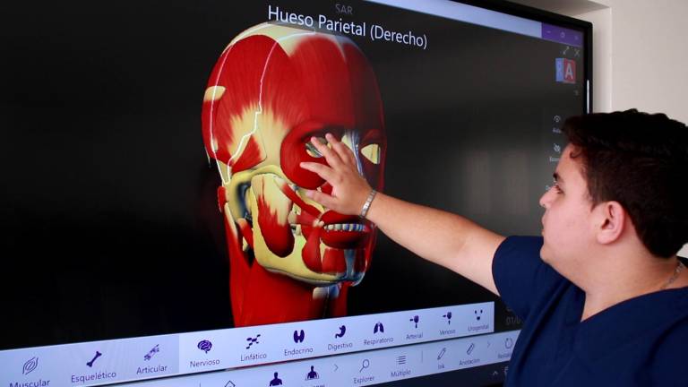 Por medio de plataformas interactivas los estudiantes tienen una experiencia inmersiva para comprender la anatomía humana, y su relación con la práctica clínica.