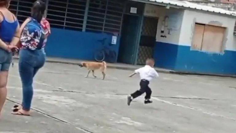 VIDEO: Niño intentó escapar corriendo de la escuela mientras se formaba en su primer día de clases