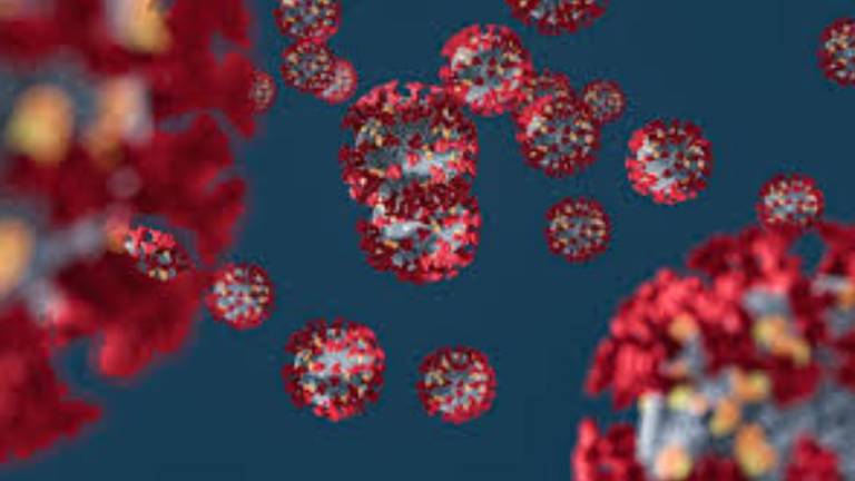 Científicos alertan que el coronavirus está mutando y que podría evadir la inmunidad