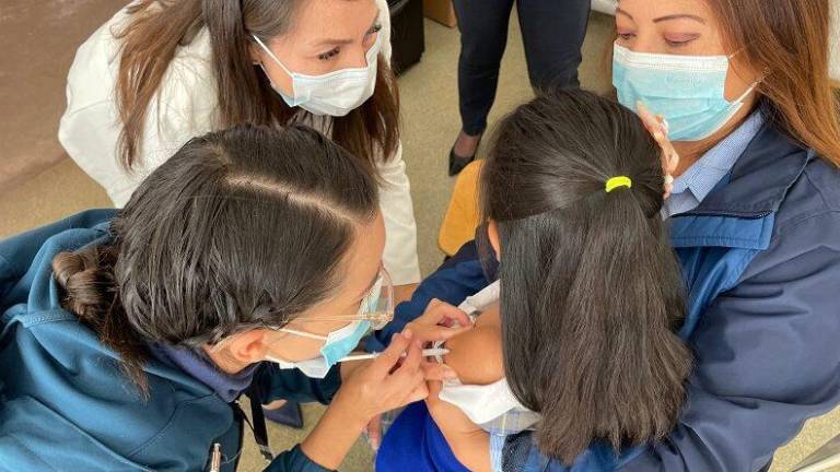 Alerta por brote de tos ferina en Ecuador: 10 muertos, más de 300 contagios y vacunación urgente en niños