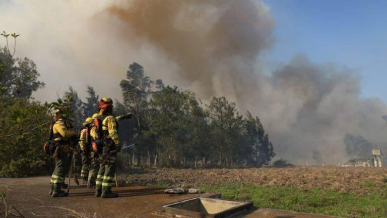 Sofocan 21 de los 22 incendios forestales registrados en Quito; Bomberos continúan labores en Puembo
