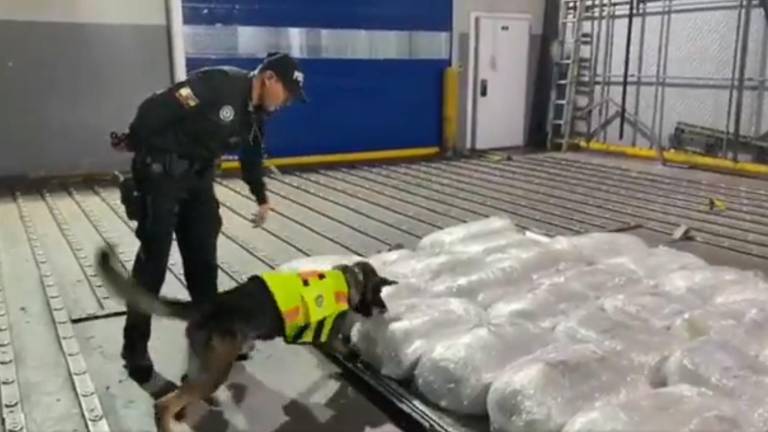 Hallan una tonelada de cocaína dentro de contenedor en aeropuerto de Quito