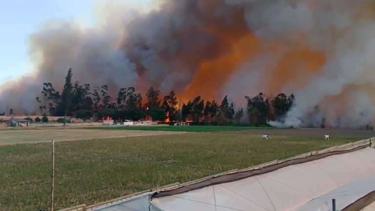 Gran incendio en Tababela y Puembo, a las afueras de Quito